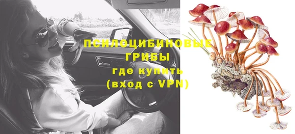 ешки Вяземский
