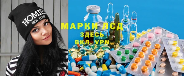спайс Арсеньев