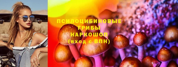 спайс Арсеньев