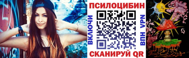 как найти закладки  Порхов  нарко площадка клад  Галлюциногенные грибы Psilocybine cubensis 